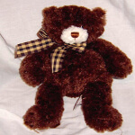 Gund Bear - Saffron