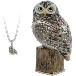 Hidden Treasures Secrets Little Owl